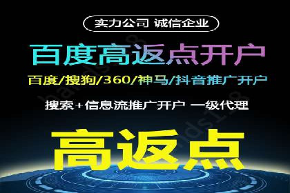 行业领先企业的网络推广与竞价经验